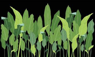 vector canna tree, natural, plants